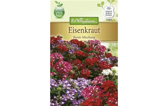 Verbenensamen Verbenensamen