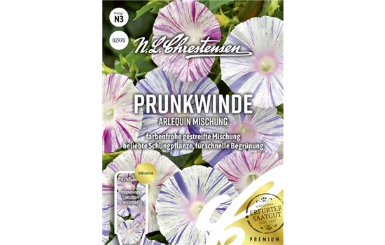 Prunkwindensamen 'Arlequin' Prunkwindensamen 'Arlequin'