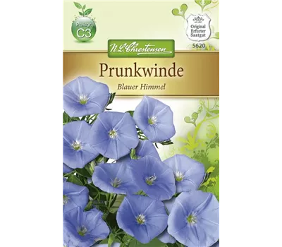 Prunkwindensamen 'Blauer Himmel' Prunkwindensamen 'Blauer Himmel'