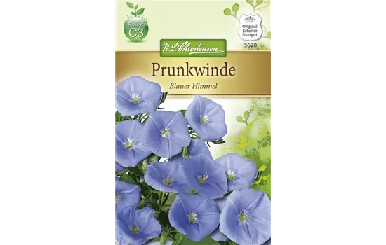 Prunkwindensamen 'Blauer Himmel' Prunkwindensamen 'Blauer Himmel'