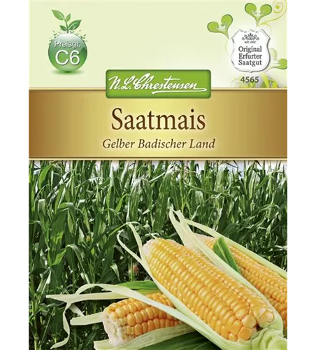 Saatmaissamen 'Gelber Badischer Land'