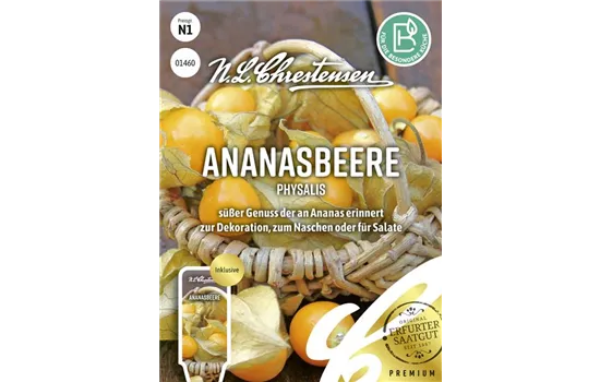 Andenbeerensamen Andenbeerensamen