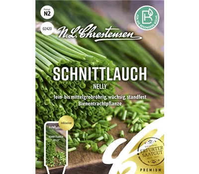 Schnittlauchsamen 'Nelly' Schnittlauchsamen 'Nelly'