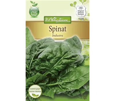 Spinatsamen 'Industra' Spinatsamen 'Industra'