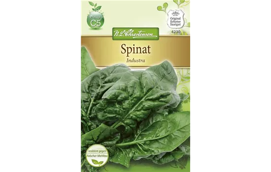 Spinatsamen 'Industra' Spinatsamen 'Industra'