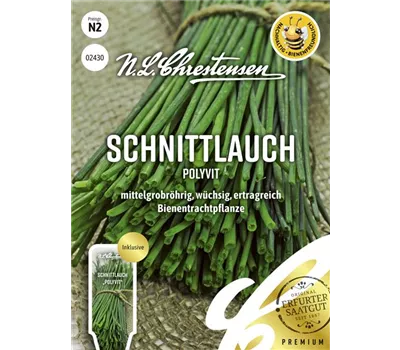Schnittlauchsamen 'Polyvit' Schnittlauchsamen 'Polyvit'