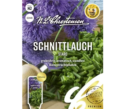 Schnittlauchsamen 'Staro' Schnittlauchsamen 'Staro'