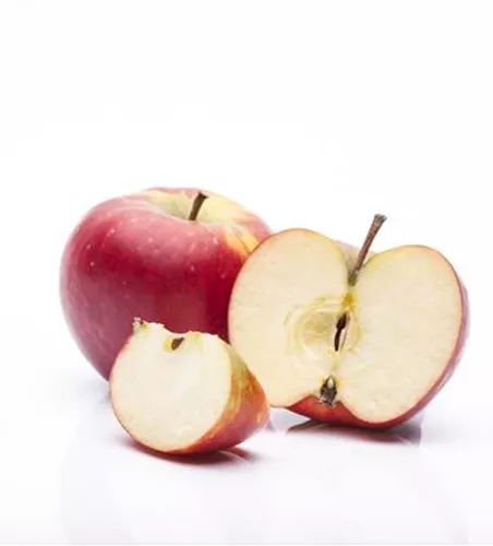 Malus 'Rubinola' -S- CAC