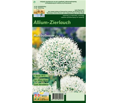 Schwarzer Lauch Schwarzer Lauch