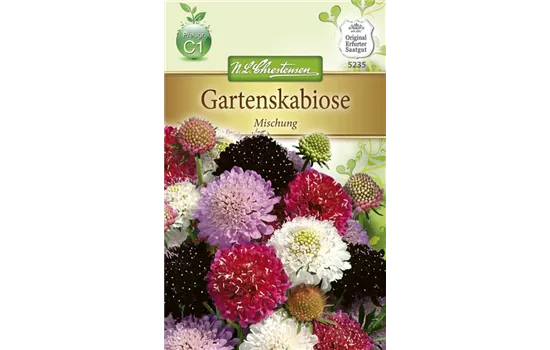 Samt-Skabiose-Samen Samt-Skabiose-Samen