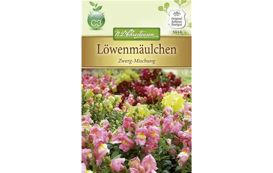 Zwerg-Löwenmaul-Samen Zwerg-Löwenmaul-Samen