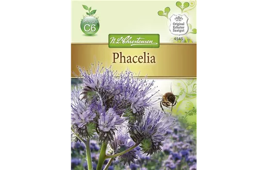 Phaceliasamen Phaceliasamen