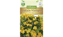 Tagetes lucida 'Sweet Mace'