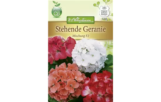 Zonal-Pelargonien-Samen Zonal-Pelargonien-Samen