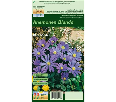 Garten-Strahlen-Windröschen 'Blue Shades' Garten-Strahlen-Windröschen 'Blue Shades'