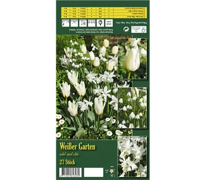 Blumenzwiebelsortiment 'Weißer Garten' Blumenzwiebelsortiment 'Weißer Garten'