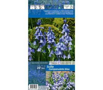 Spanisches Hasenglöckchen Spanisches Hasenglöckchen