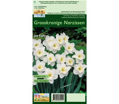 Großkronige Narzisse 'Ice Follies' Großkronige Narzisse 'Ice Follies'