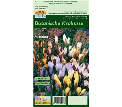 Botanische Krokusse