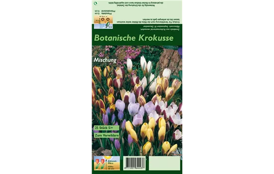 Botanische Krokusse