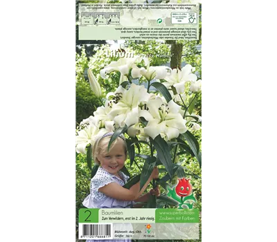 Baumlilie 'Pretty Woman' Baumlilie 'Pretty Woman'