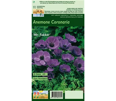 Garten-Anemone 'De Caen Mr. Fokker' Garten-Anemone 'De Caen Mr. Fokker'