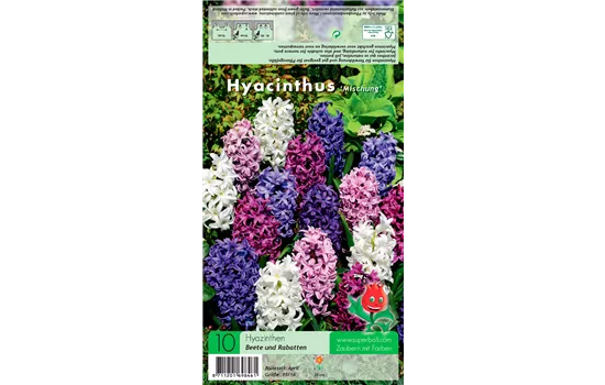 Hyazinthe 'Weiß-Blau-Purpur-Mischung'