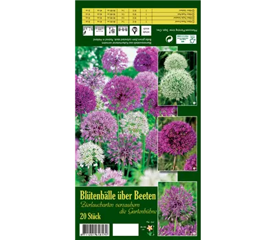 Zierlauch 'Blütenbälle über Beeten'