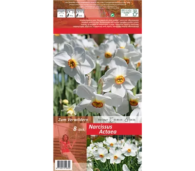 Garten-Dichter-Narzisse 'Actaea' Garten-Dichter-Narzisse 'Actaea'