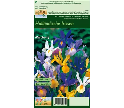 Holländische Iris Holländische Iris