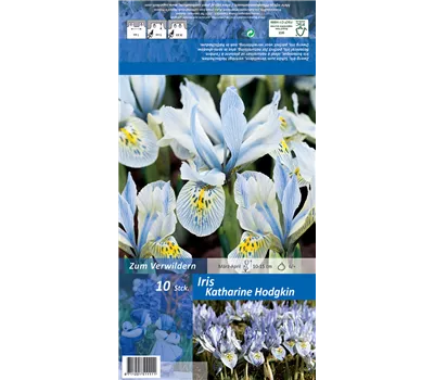 Zwerg-Iris 'Katherine Hodgkin' Zwerg-Iris 'Katherine Hodgkin'