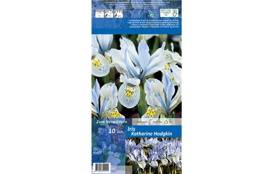 Zwerg-Iris 'Katherine Hodgkin' Zwerg-Iris 'Katherine Hodgkin'