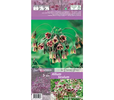 Bulgarischer Honiglauch Bulgarischer Honiglauch