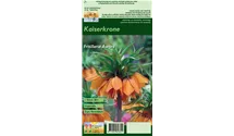 Blumenzwiebel Set 'Orange King'