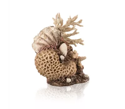 OASE biOrb Korallen-Muschel Ornament natural OASE biOrb Korallen-Muschel Ornament natural