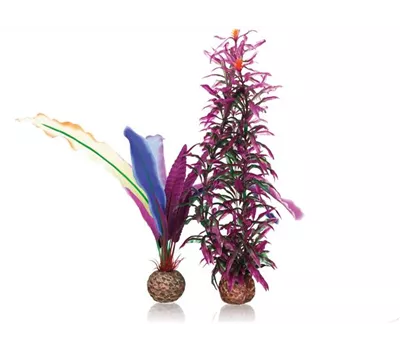 OASE biOrb Papageienfeder S OASE biOrb Papageienfeder S