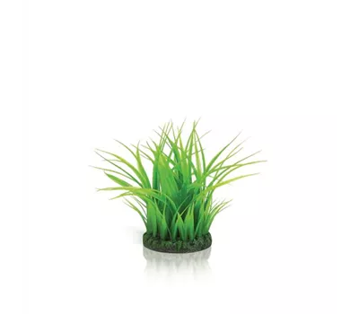 OASE biOrb Grasring S grün OASE biOrb Grasring S grün