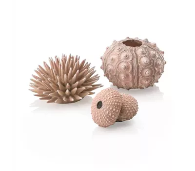 OASE biOrb Seeigel Set natural OASE biOrb Seeigel Set natural