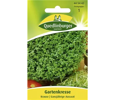 Gartenkressesamen 'Krause' Gartenkressesamen 'Krause'