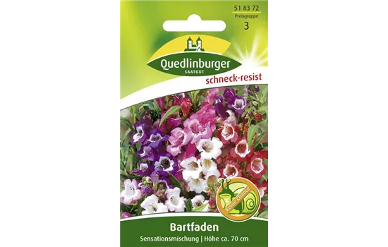 Bartfadensamen 'Sensationsmischung' Bartfadensamen 'Sensationsmischung'