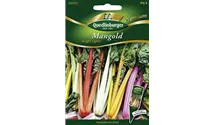 Beta vulgaris var. cicla 'Bright Lights'