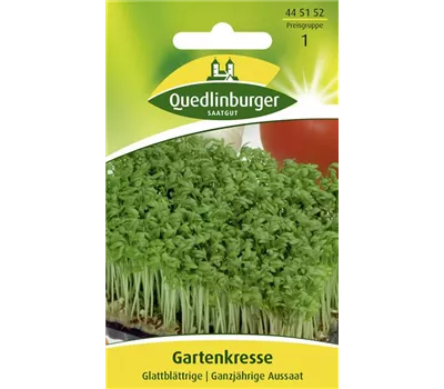 Glattblättrige Gartenkresse-Samen Glattblättrige Gartenkresse-Samen