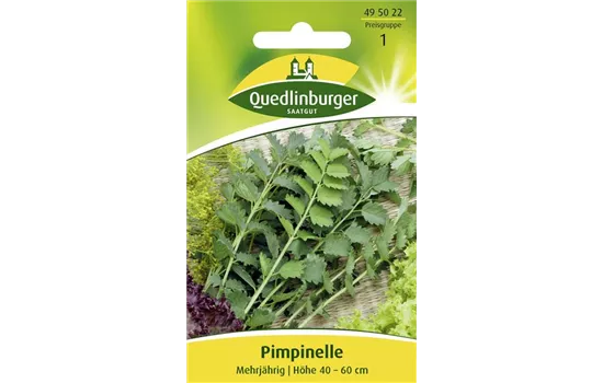 Kleiner Wiesenknopf-Samen Kleiner Wiesenknopf-Samen