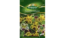 Mimulus x hybrida 'Tigermischung'