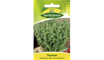 Thymus vulgaris