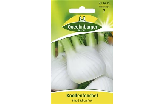 Knollenfenchelsamen 'Fino' Knollenfenchelsamen 'Fino'