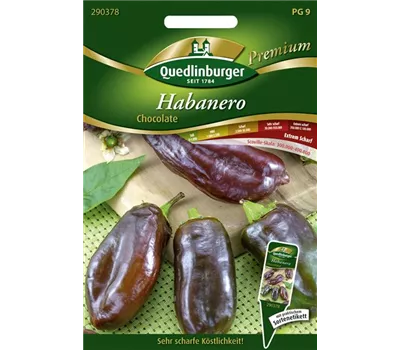 Habanerosamen 'Chocolate' Habanerosamen 'Chocolate'