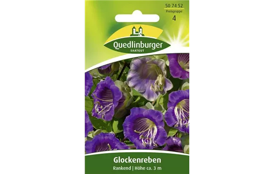 Glockenrebensamen Glockenrebensamen