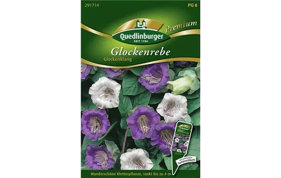 Glockenrebensamen 'Glockenklang' Glockenrebensamen 'Glockenklang'