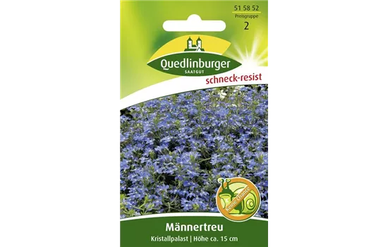 Lobeliensamen 'Kristallpalast' Lobeliensamen 'Kristallpalast'